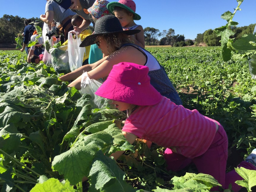 The Underwood Family&nbsp;Farm