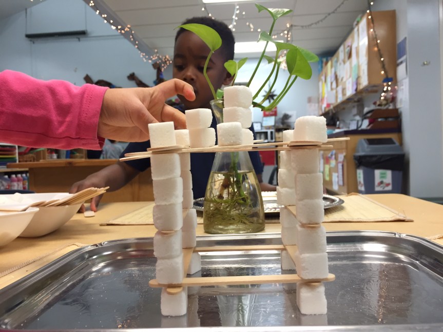 STEM Learning and&nbsp;More!