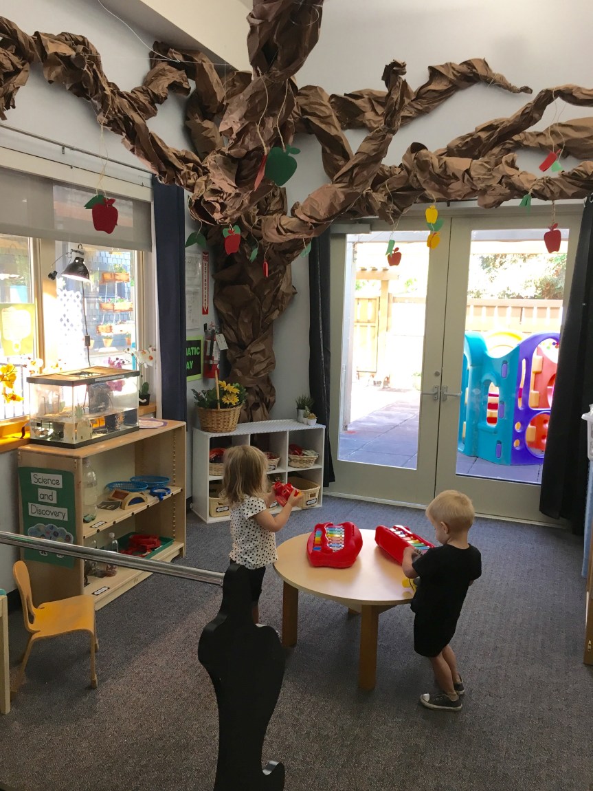 Room 5’s First&nbsp;Month!