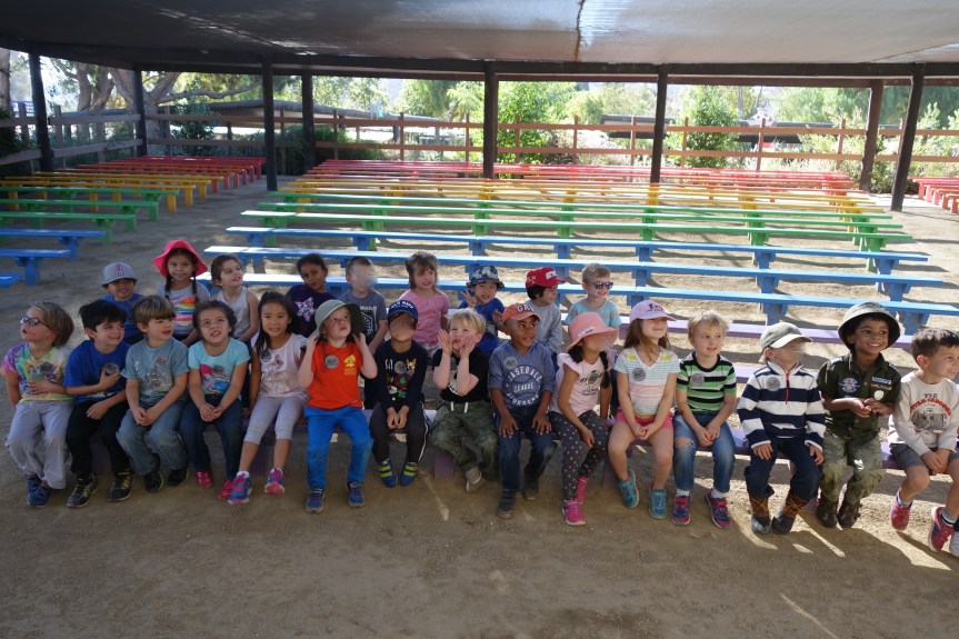 Down on the&nbsp;Farm!