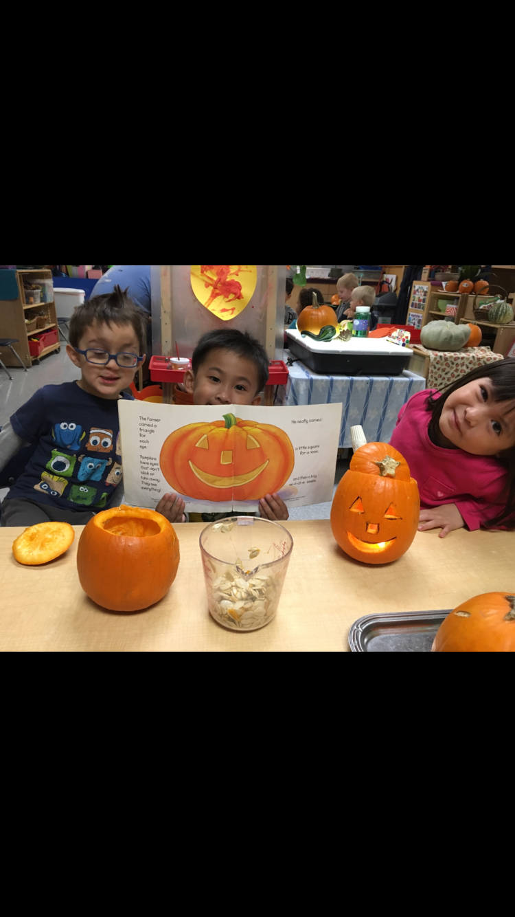 Pumpkin Seed Bonanza!