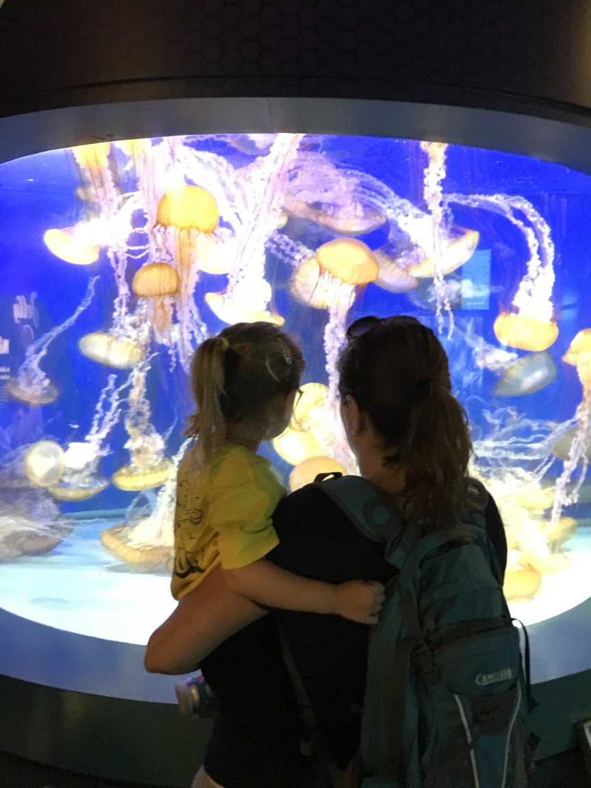 Last Week of&nbsp;Summer!