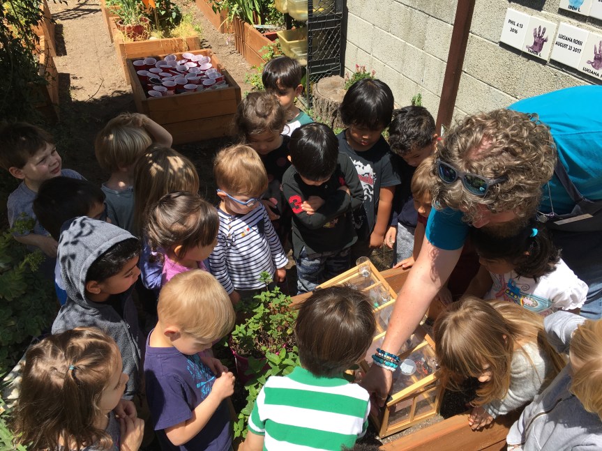 Spread Your Wings and Fly&nbsp;Butterflies!