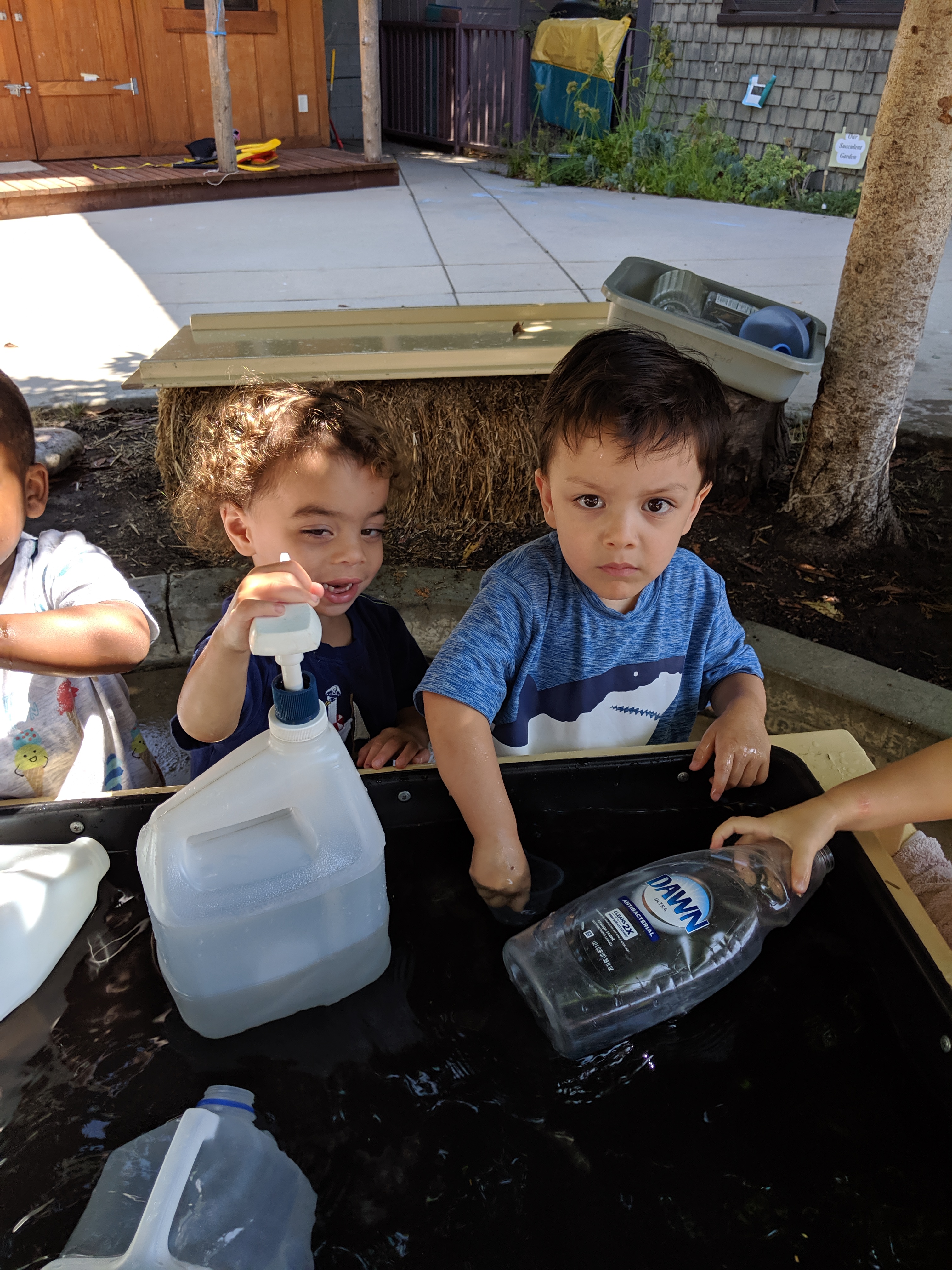 MVIMG_20190729_103117