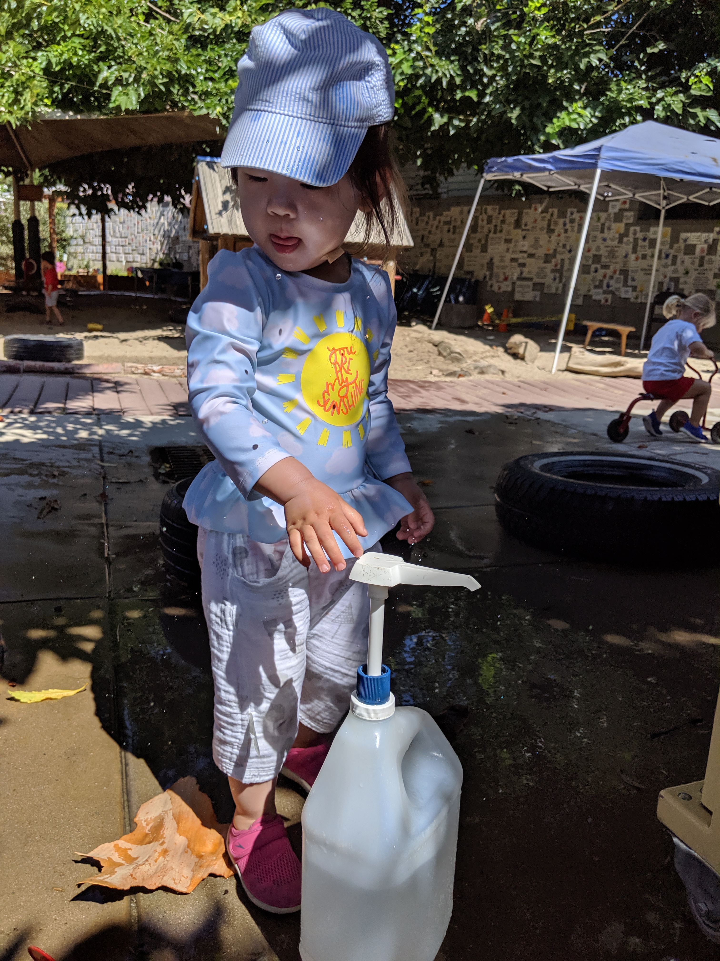 MVIMG_20190729_103211