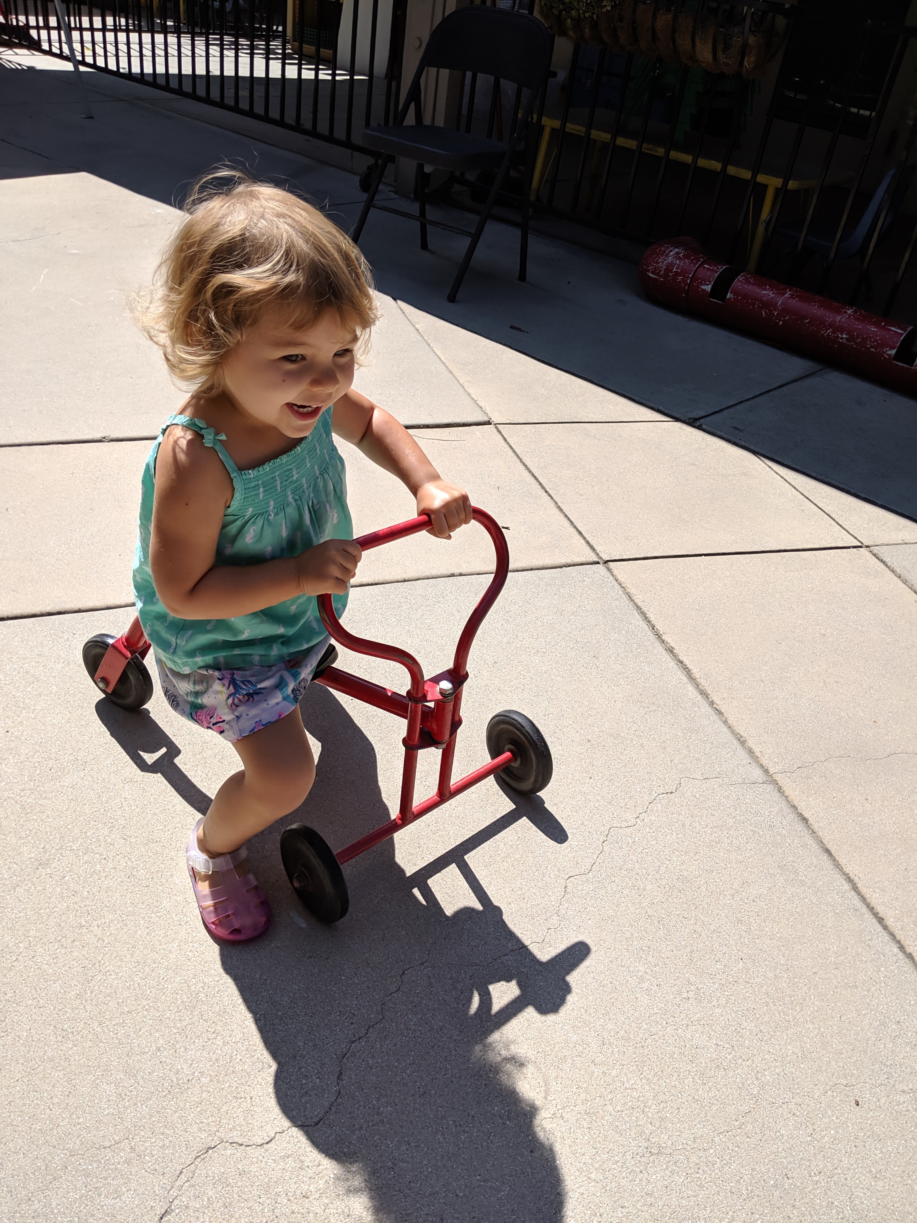 MVIMG_20190729_103223