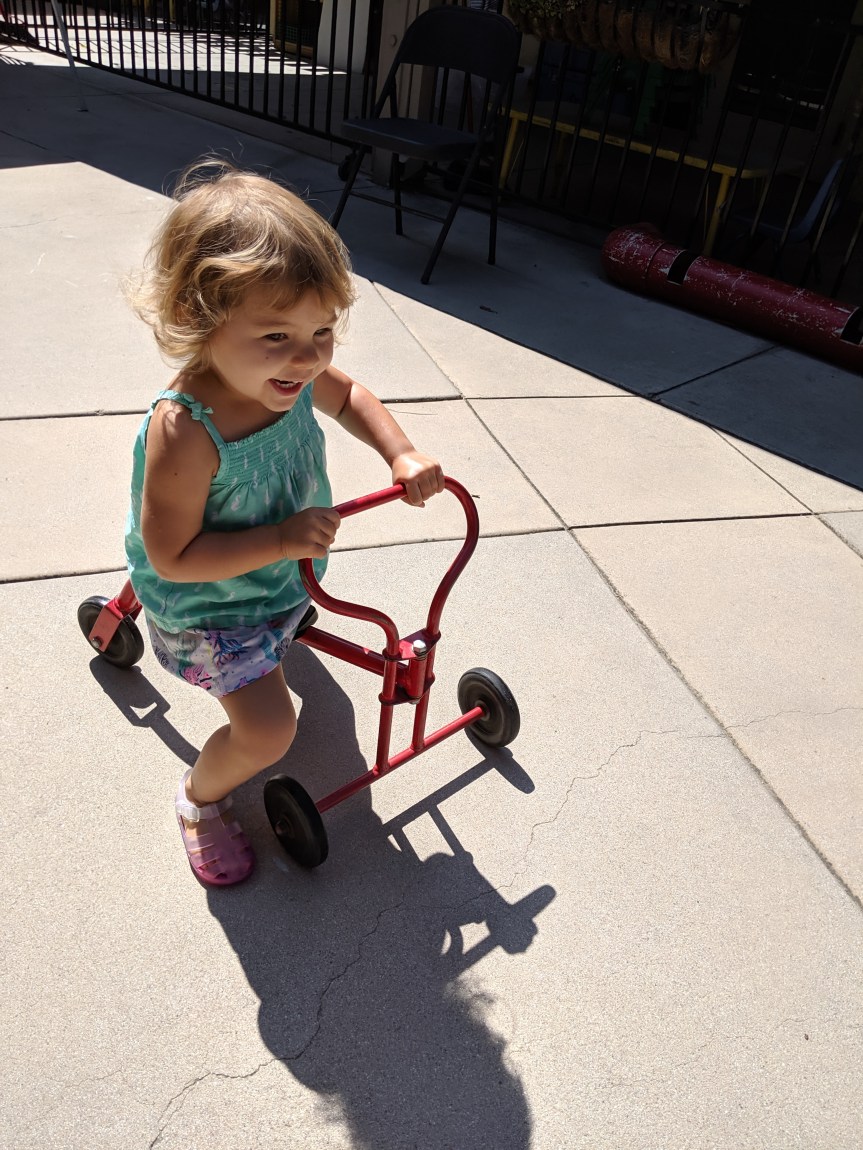 MVIMG_20190729_103223