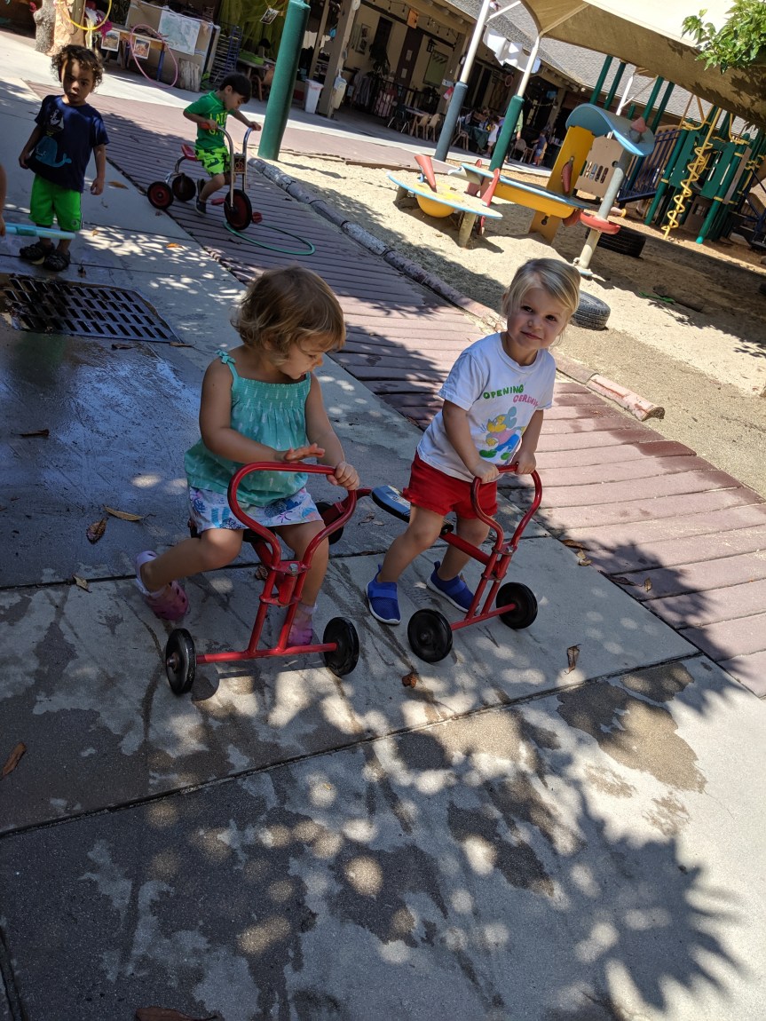 MVIMG_20190729_103343