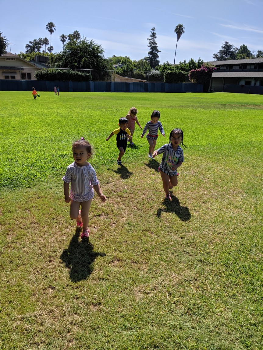 MVIMG_20190730_103513