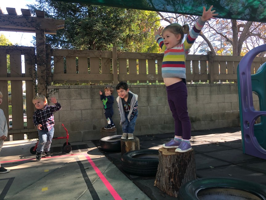 New Tree Logs in the YP&nbsp;Patio