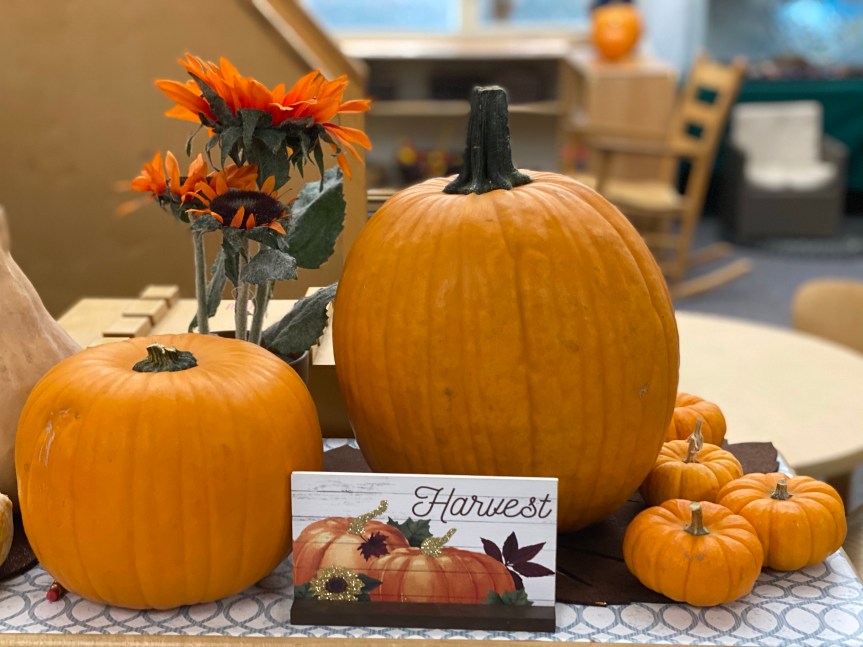 Falling Leaves and Pleasing Pumpkin Abound in Rm&nbsp;3!