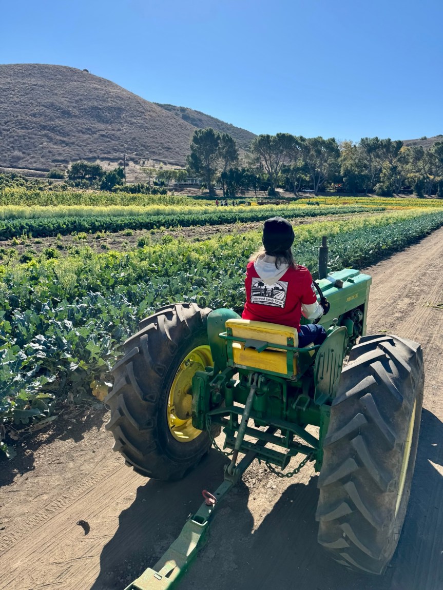 Farm Field Trip 2024 – Room&nbsp;2