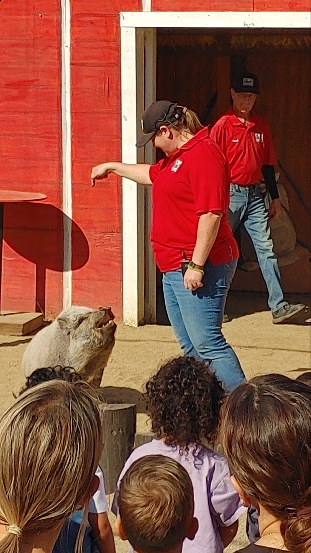 “EVENTFUL JANUARY”